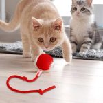 GATOPLAY